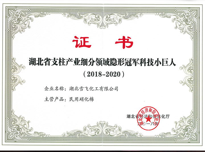 公司隱形冠軍